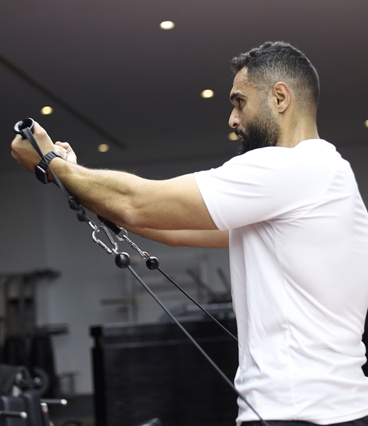 برامج التغذية